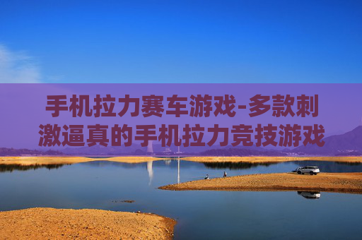 手机拉力赛车游戏-多款刺激逼真的手机拉力竞技游戏