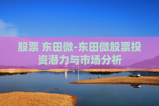 股票 东田微-东田微股票投资潜力与市场分析