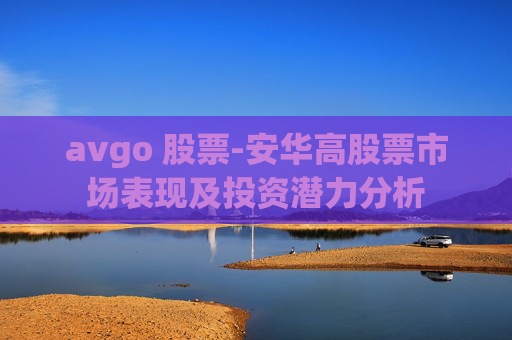 avgo 股票-安华高股票市场表现及投资潜力分析