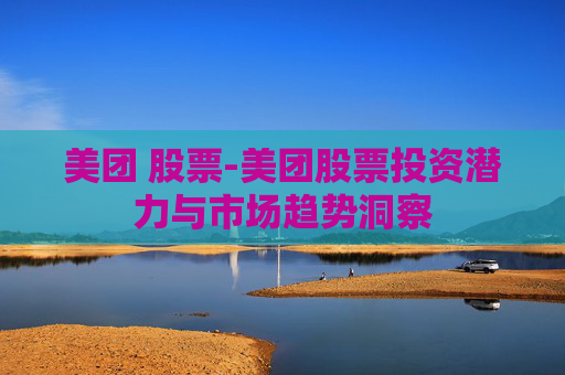美团 股票-美团股票投资潜力与市场趋势洞察