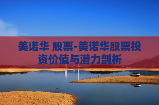 美诺华 股票-美诺华股票投资价值与潜力剖析