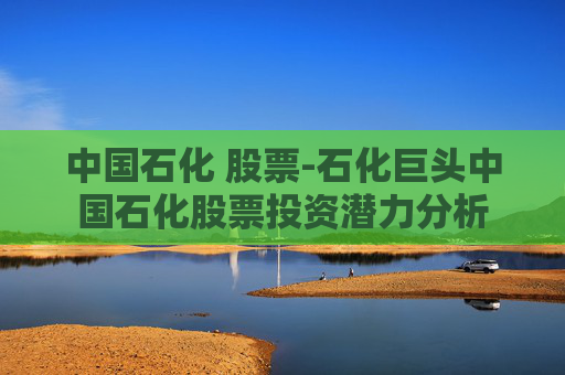 中国石化 股票-石化巨头中国石化股票投资潜力分析