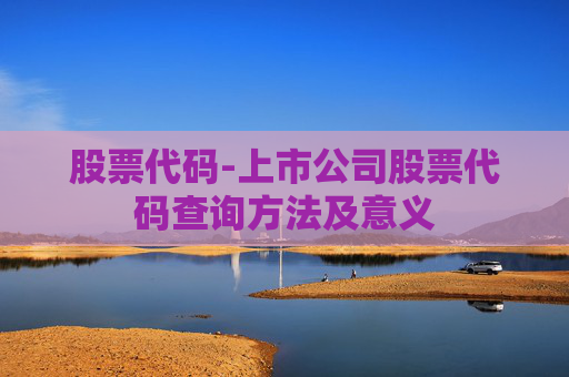 股票代码-上市公司股票代码查询方法及意义