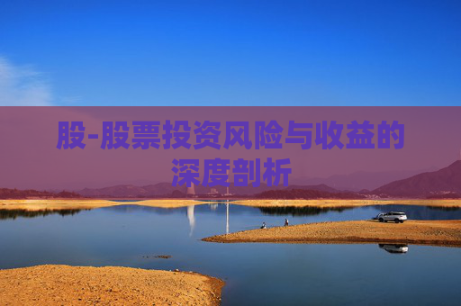 股-股票投资风险与收益的深度剖析