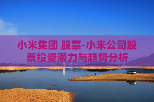 小米集团 股票-小米公司股票投资潜力与趋势分析