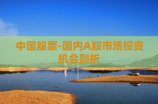 中国股票-国内A股市场投资机会剖析