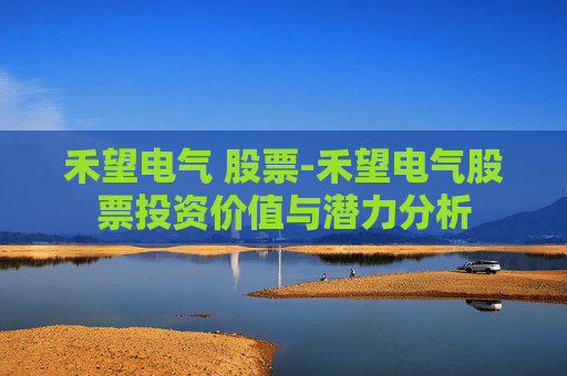 禾望电气 股票-禾望电气股票投资价值与潜力分析