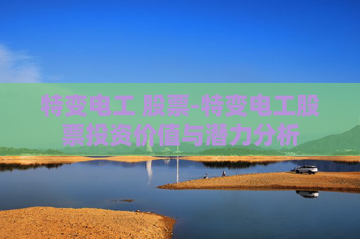 特变电工 股票-特变电工股票投资价值与潜力分析