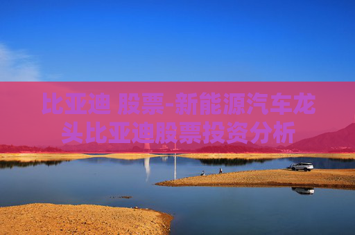 比亚迪 股票-新能源汽车龙头比亚迪股票投资分析