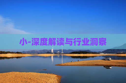 小-深度解读与行业洞察