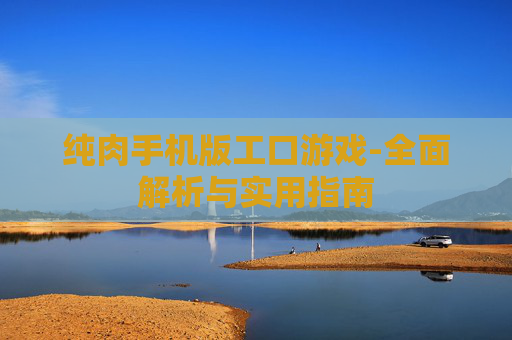 纯肉手机版工口游戏-全面解析与实用指南