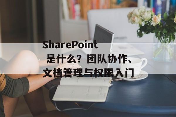 SharePoint 是什么？团队协作、文档管理与权限入门