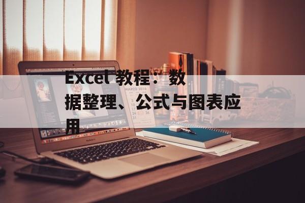 Excel 教程：数据整理、公式与图表应用
