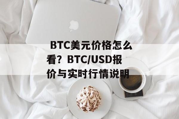  BTC美元价格怎么看？BTC/USD报价与实时行情说明