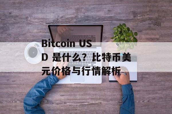Bitcoin USD 是什么？比特币美元价格与行情解析